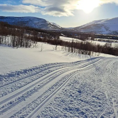 Austertanakrystallen By Pure Lifestyle Arctic Πανσιόν Tana