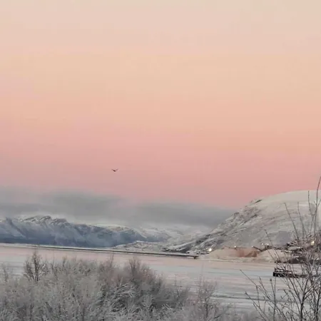 Austertanakrystallen By Pure Lifestyle Arctic * Tana