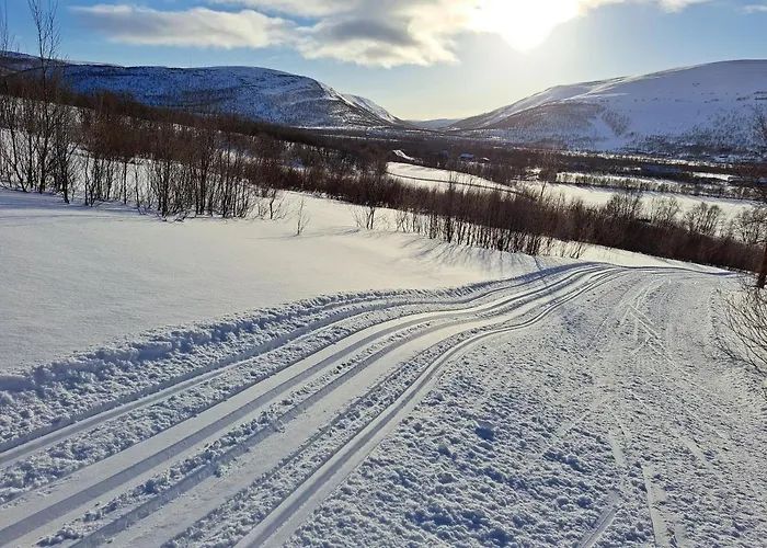 Austertanakrystallen By Pure Lifestyle Arctic Гостевой дом Tana