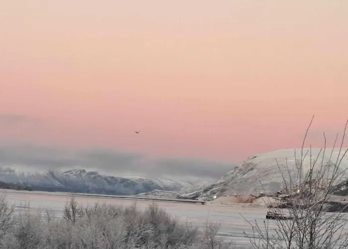 Austertanakrystallen By Pure Lifestyle Arctic * Tana